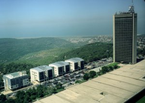 אוניברסיטת חיפה