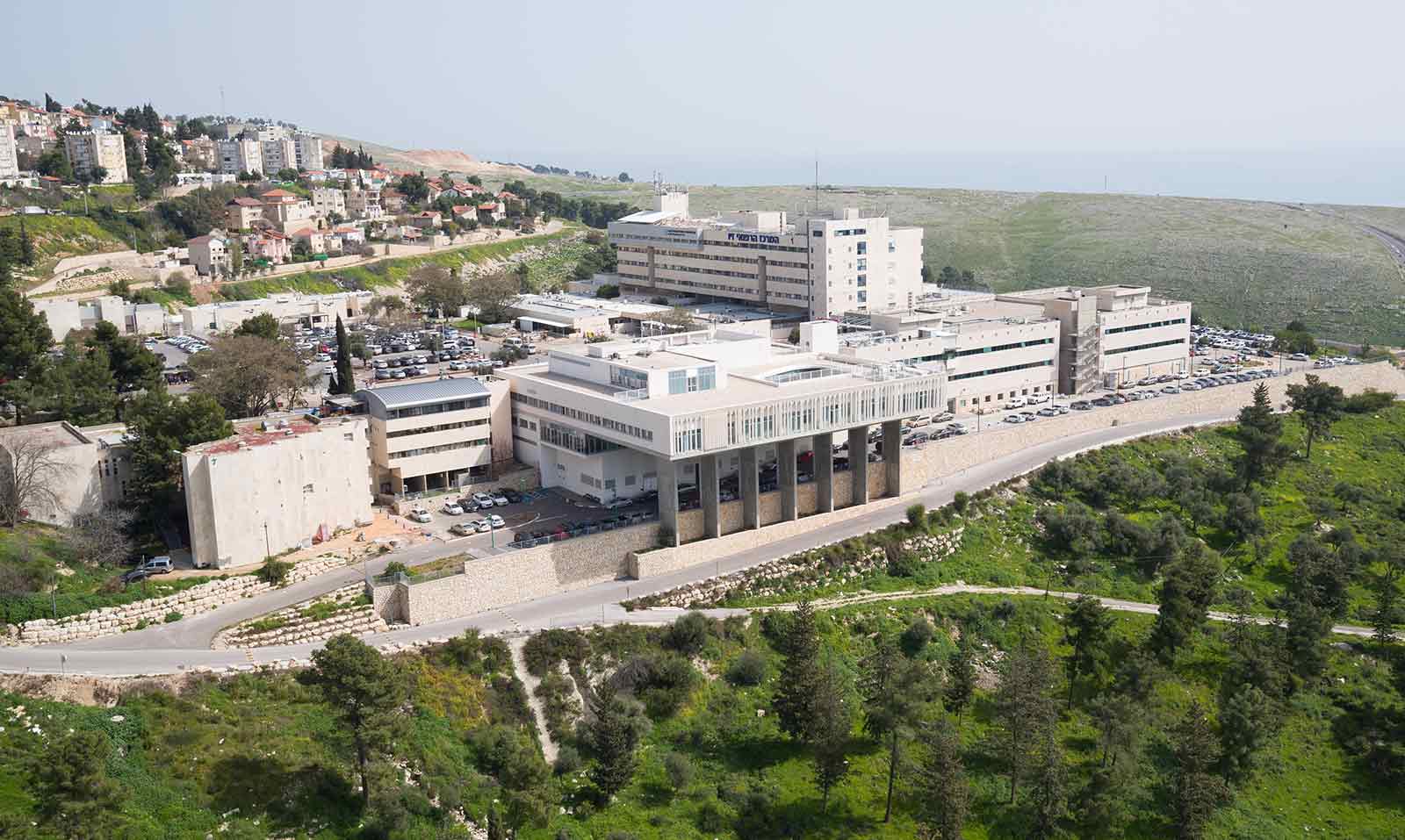 תורג, אודות, סלידר, פרויקטים